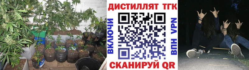 купить закладку  Димитровград  Дистиллят ТГК THC oil 