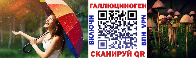 цена   Димитровград  Псилоцибиновые грибы Psilocybine cubensis 